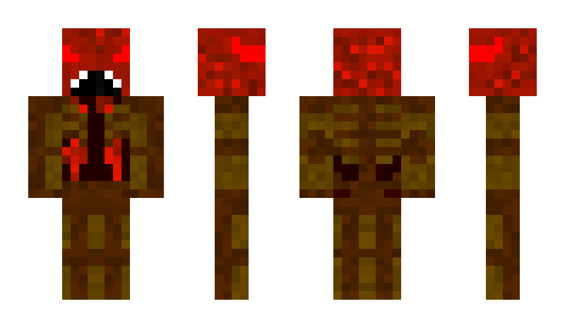 Skins For Minecraft